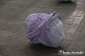 VBS_8516 - Artissima 2022 - Ventinovesima Edizione
